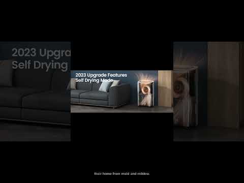 Say goodbye to mold excess moisture in your home Best dehumidifier for large spaces on the