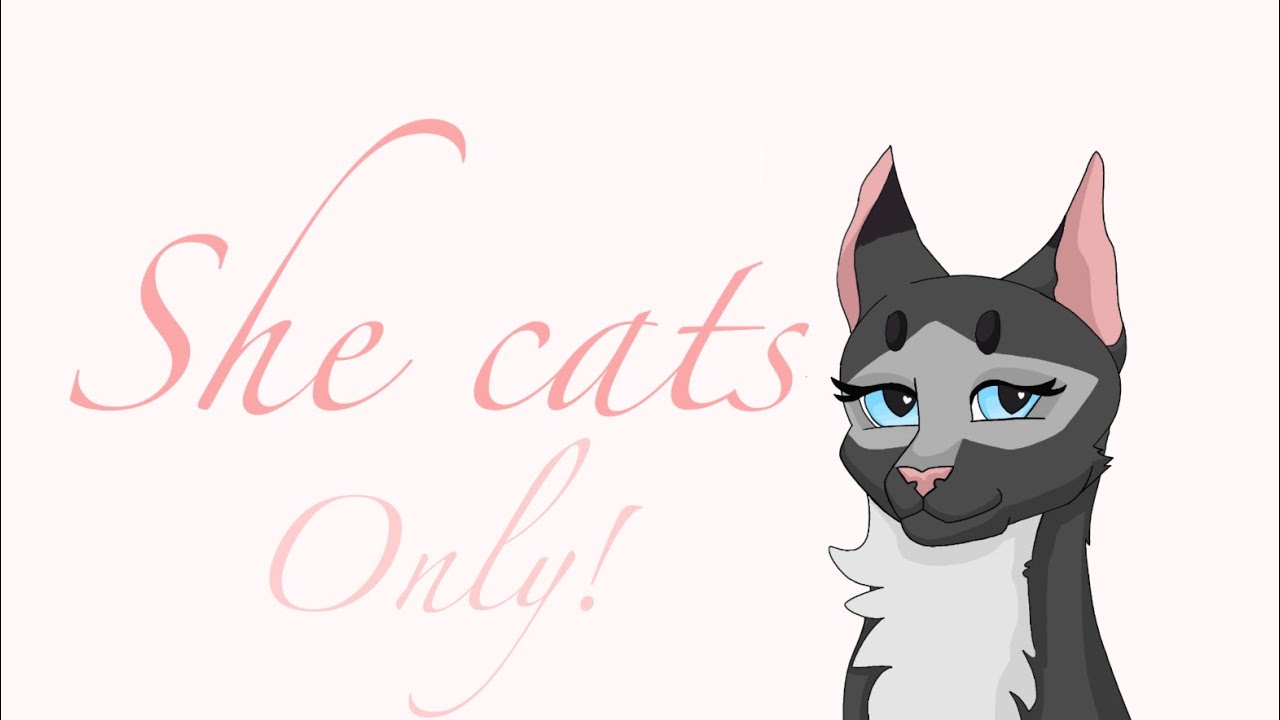 Warrior cat character generator (She-cats only)