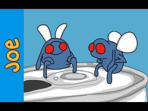 Joe Cartoon - 3 Drunk Flies (Remastered in HD)