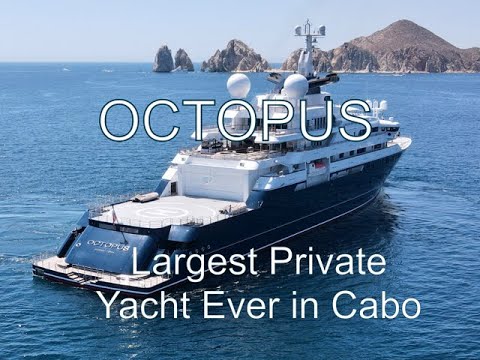 Octopus Super Yacht in Cabo