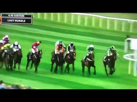 AINTREE 2019 - Doom Bar Sefton Novices' Hurdle (Grade 1)
