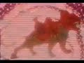 He Man Cartoon Serial Of Dordarshan 1980 S