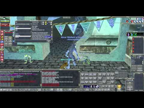 Everquest - Mercenaries (Video Explanation)