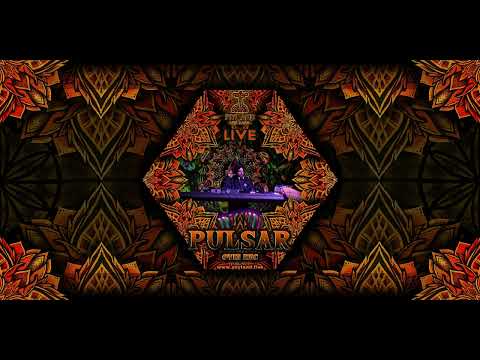 Pulsar Live Set Psyland