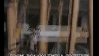 White Line Fever (1975) Video