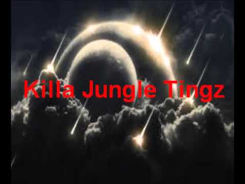 Killa Jungle Tingz