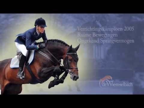 Van Gogh / NL / 2013