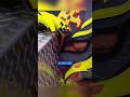 The Night Undertaker Honored Rey Mysterio ❤️ #undertaker #reymysterio #wwe #wweshorts