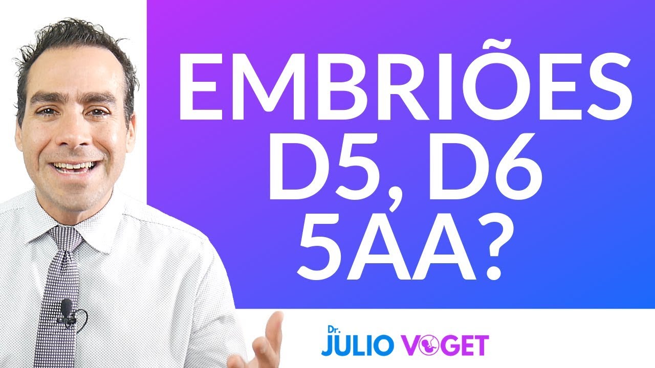 Qual é o melhor EMBRIÃO para ENGRAVIDAR?