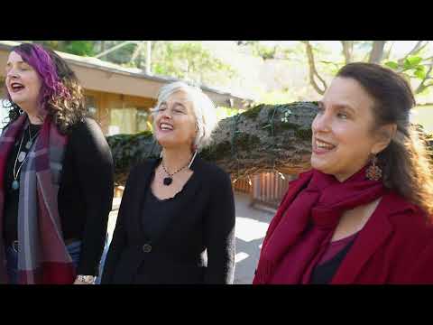 KITKA: Nova radasts' stala (Live)