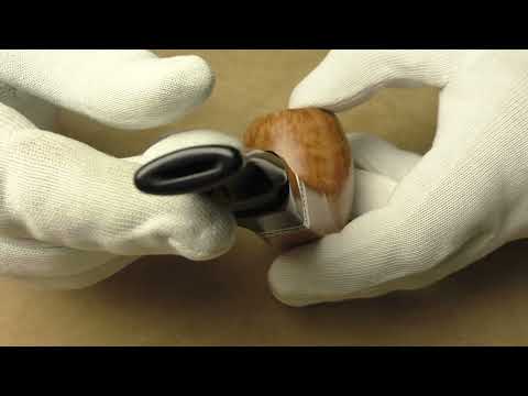 Viprati 2Q - pipe 421