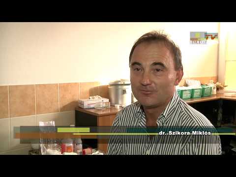 Kamilla Gyógy-, Termál- és Strandfürdő Balmazújváros bemutatkozás