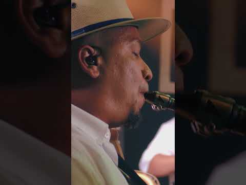 @omaracedo  +  @buenafe-1999  - Siembra