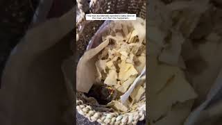 This man accidentally spotted a baby bird on the road, and then #sparrow #birds #short