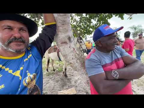 Feira de Cavalos do Bola em Monteiropolis - AL 19 - 07 - 2026 #nordeste