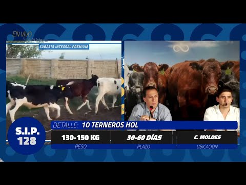 12-12-25 - 128º Subasta Integral Premium de Carlos J. Lanser - Coronel Moldes, Córdoba