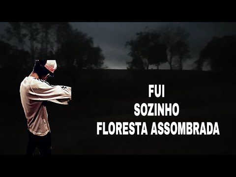 Fui na Floresta assombrada. Sozinho?