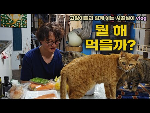 그냥 뭐 살아가는 거지! 행복이 별거냐? /고양이들과 함께 하는 시골살이