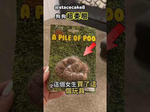 狗狗真的想說：冤枉啊