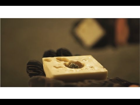 DOGAS X DŻEJPA - SILVERMOON (prod. OPIAT) (Official Video)