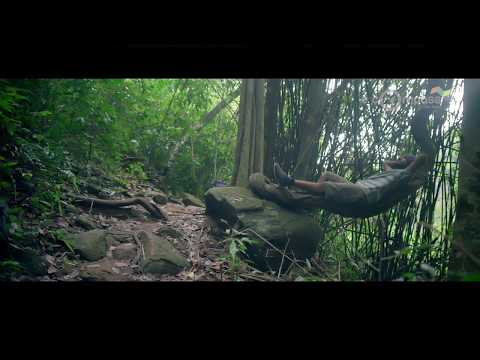 ഇ-കോമ്പസ്