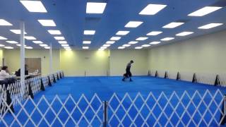 Zoe Blue Blue Intermediate RFE 9/28/14