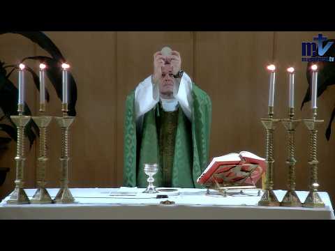 La Santa Misa de Hoy | Domingo XXX del Tiempo Ordinario (25-10-2026) | Pbro. Javier Martín, FM