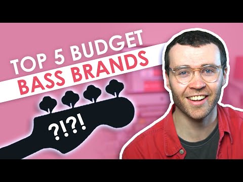 Top 5 Bass Brands for Beginners! | Back to Bassics