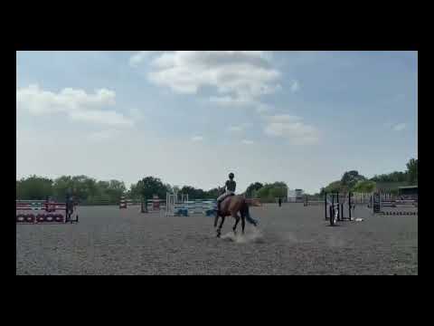 Casco Diamond show video 2