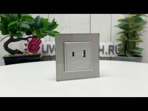 Розетка USB type-C и USB type-A, блоком питания 36W Livolo, 1 пост, цвет серый VL-C7VUA18W.UC18W-2IP