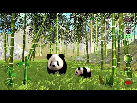 Talking Panda: Kung Fu Pet