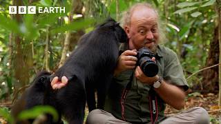 Bill Bailey Encounters Flying Frogs & Birds of Paradise | BBC Earth