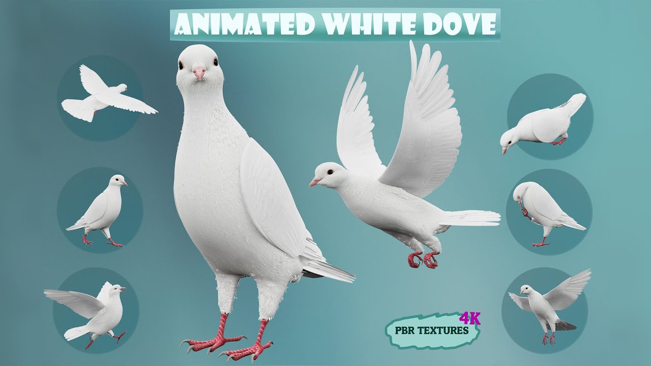Realistic Animated White Dove Low-poly 3D Model