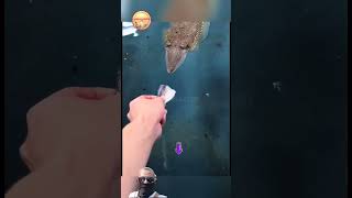 Download lagu THIS IS HOW SQUID EAT | SQUID FISHING 🦑 #fishing #shortvideo #fishing mp3 Download lagu THIS IS HOW SQUID EAT | SQUID FISHING 🦑 #fishing #shortvideo #fishing mp3