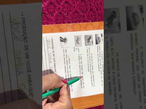 Projeto Bichinhos de jardim - Bichinhos Curiosos - parte 2