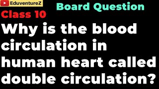 Why is the blood circulation in human heart called double circulation? Class 10 Biology Sample Ques.