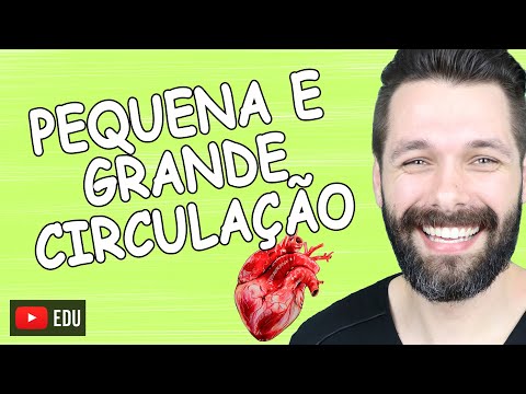 PEQUENA E GRANDE CIRCULAÇÃO | Biologia com Samuel Cunha