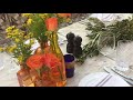 Mediterranean Flowers Arrangements