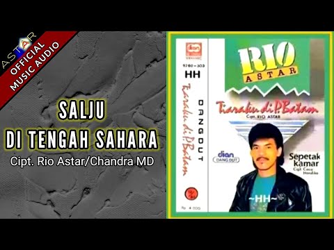 SALJU DI TENGAH SAHARA - RIO ASTAR (OFFICIAL MUSIC AUDIO)
