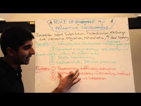 Y2/IB 24) Interventionist Policies and Development (Role of Government)
