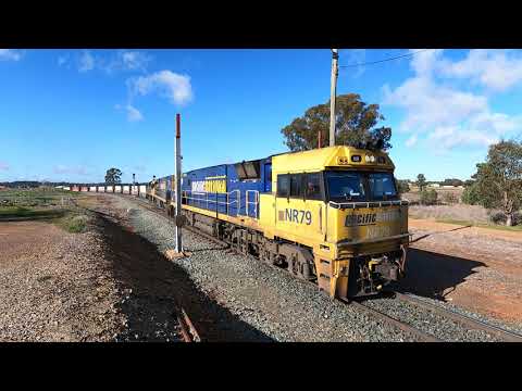 NR79, NR88 & LDP002 Goobang Junction East NSW.  Fri 29th July 2022