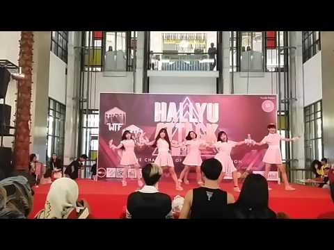 [160221] BIBIMBAP Dance Cover - NoNoNo + Mr. Chu Remix by Apink @ Hallyu Attack 2016