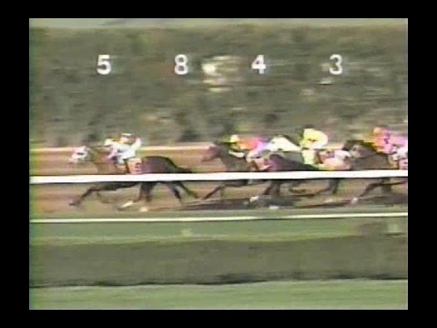 1994 Broward Handicap