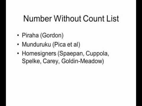 S Carey, "Language and Number: Evidence from Studies of  Conceptual Development", Nias/Lorentz