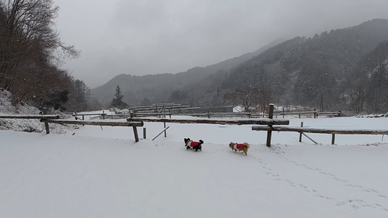 キャンプでの不思議体験