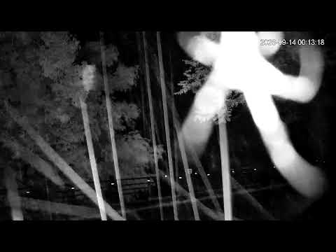 田沢湖のライブカメラ映像