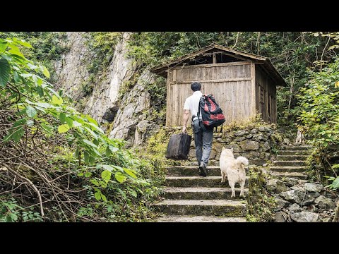 Full video 300 day  Transforms an Abandoned Wooden Cabin at 1,000 Meters into His Own Paradise