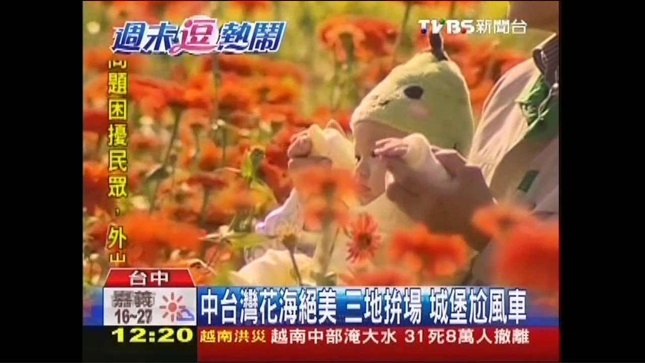中台灣花海絕美！三地拚場　城堡尬風車