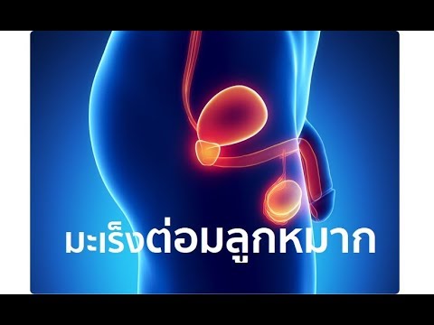 ผมไม่ตายผมอ่อนแอ วิธีธรรมชาติเพื่อเพิ่มความแข็งแรง
