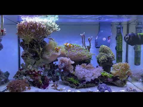 Watch Video on YouTube